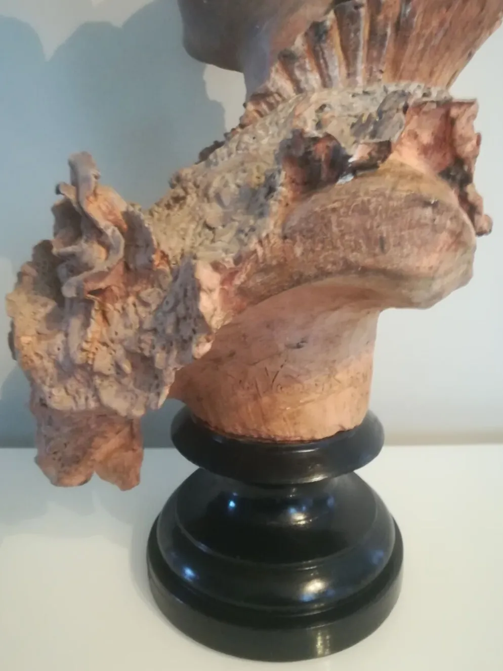 Buste signé D. Van Den Bossche en terre cuite