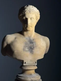 Buste sur piédestal Antinous, 20ème siècle