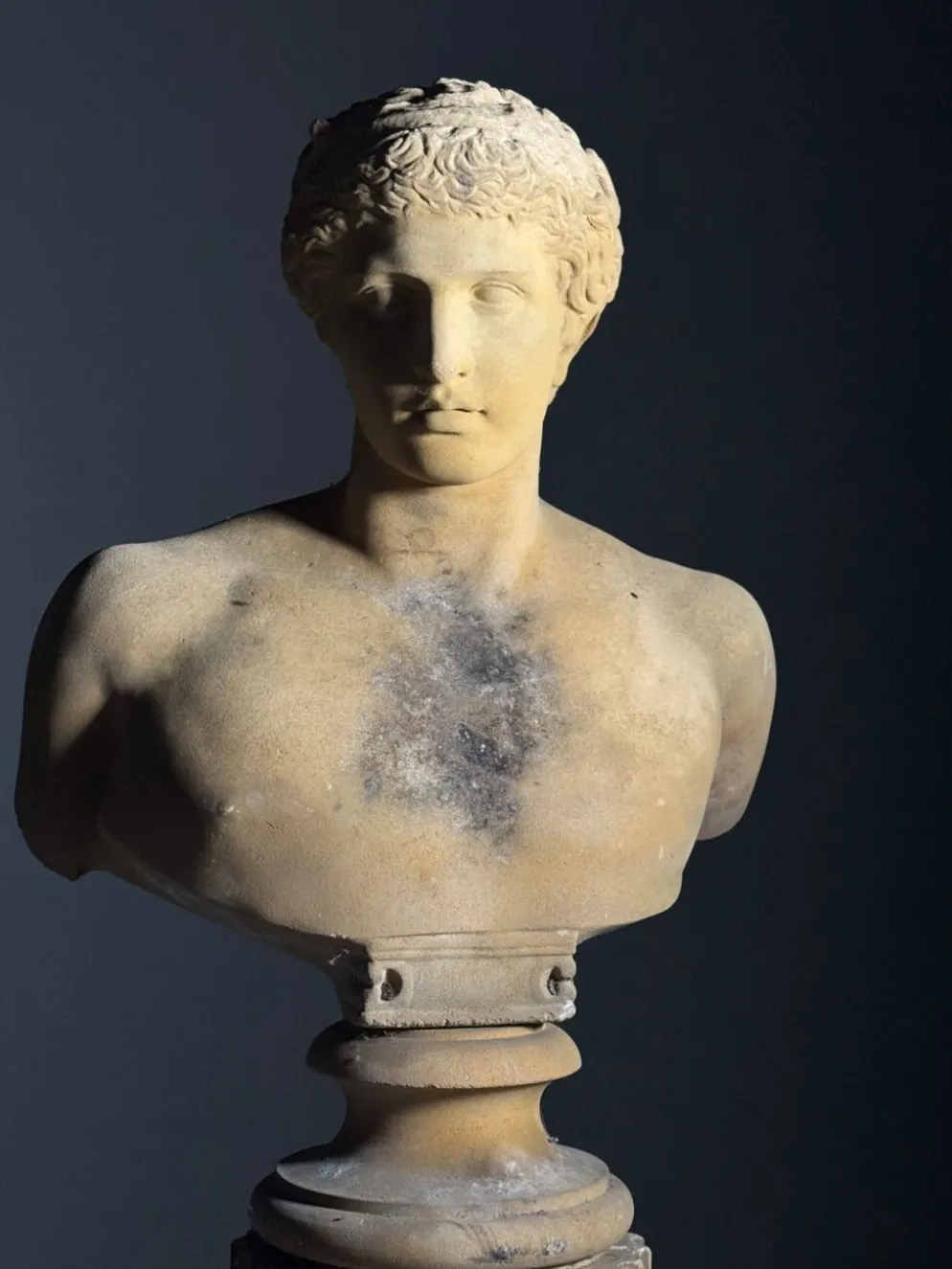 Buste sur piédestal Antinous, 20ème siècle