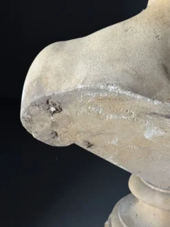 Buste sur piédestal Antinous, 20ème siècle