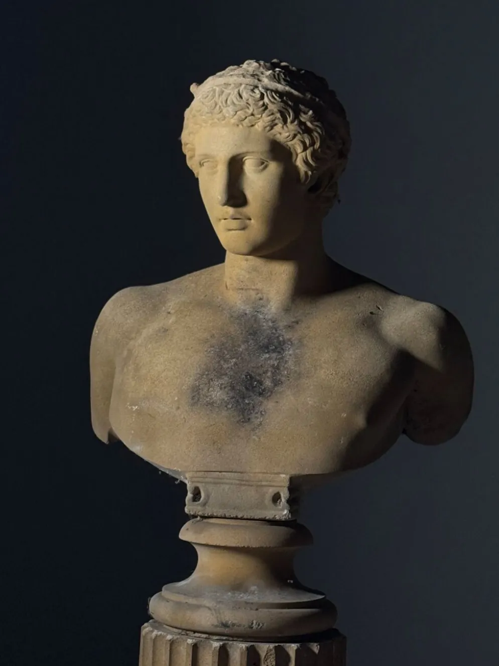 Buste sur piédestal Antinous, 20ème siècle