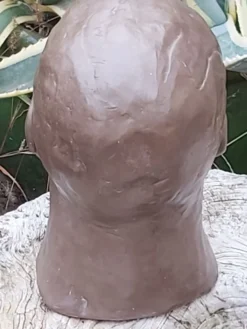 Buste tête homme terre cuite