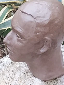 Buste tête homme terre cuite
