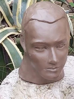 Buste tête homme terre cuite
