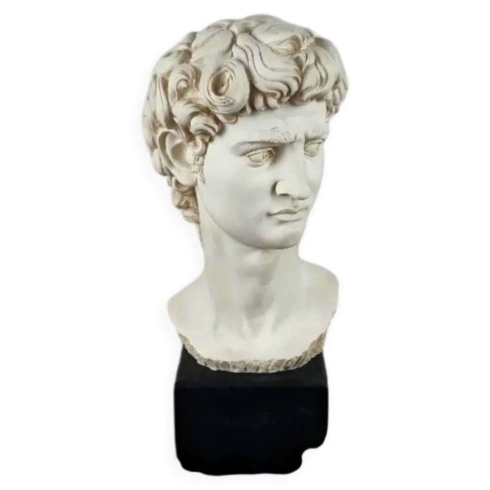 Buste vintage "David" de Michel-Ange
