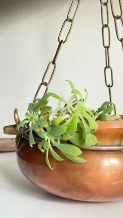 CACHE-POT Suspendu Vintage