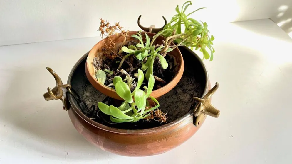 CACHE-POT Suspendu Vintage