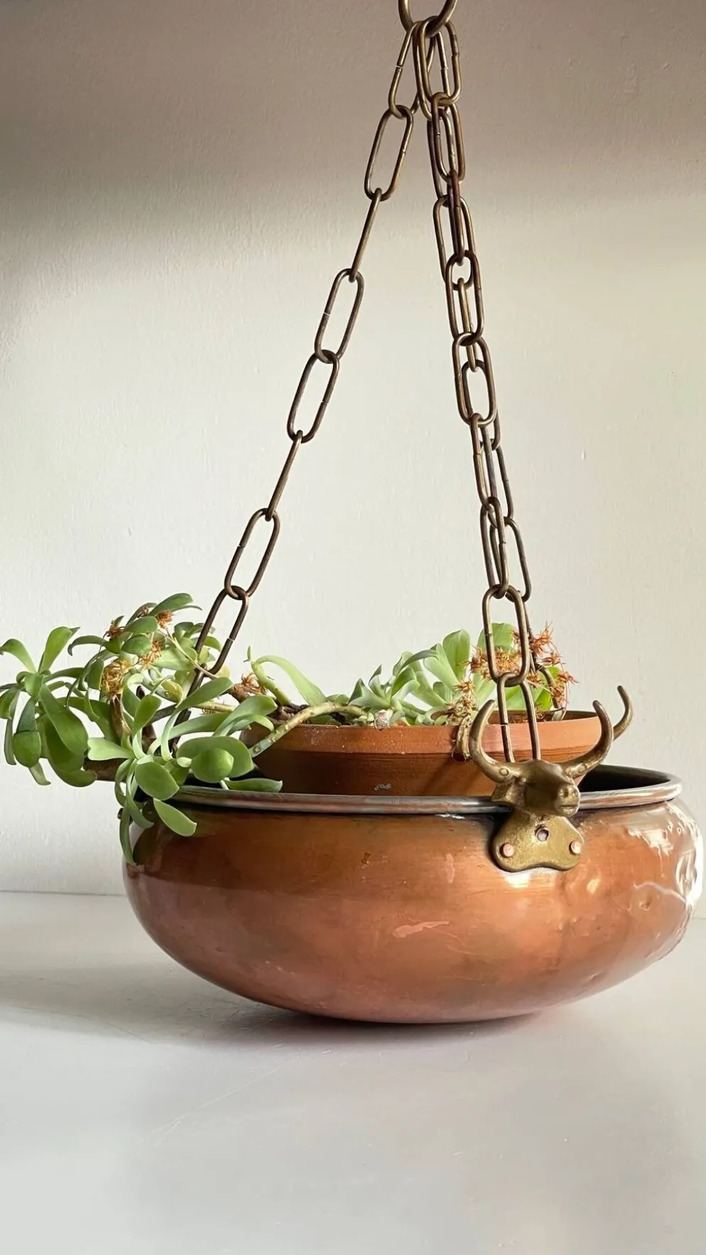 CACHE-POT Suspendu Vintage