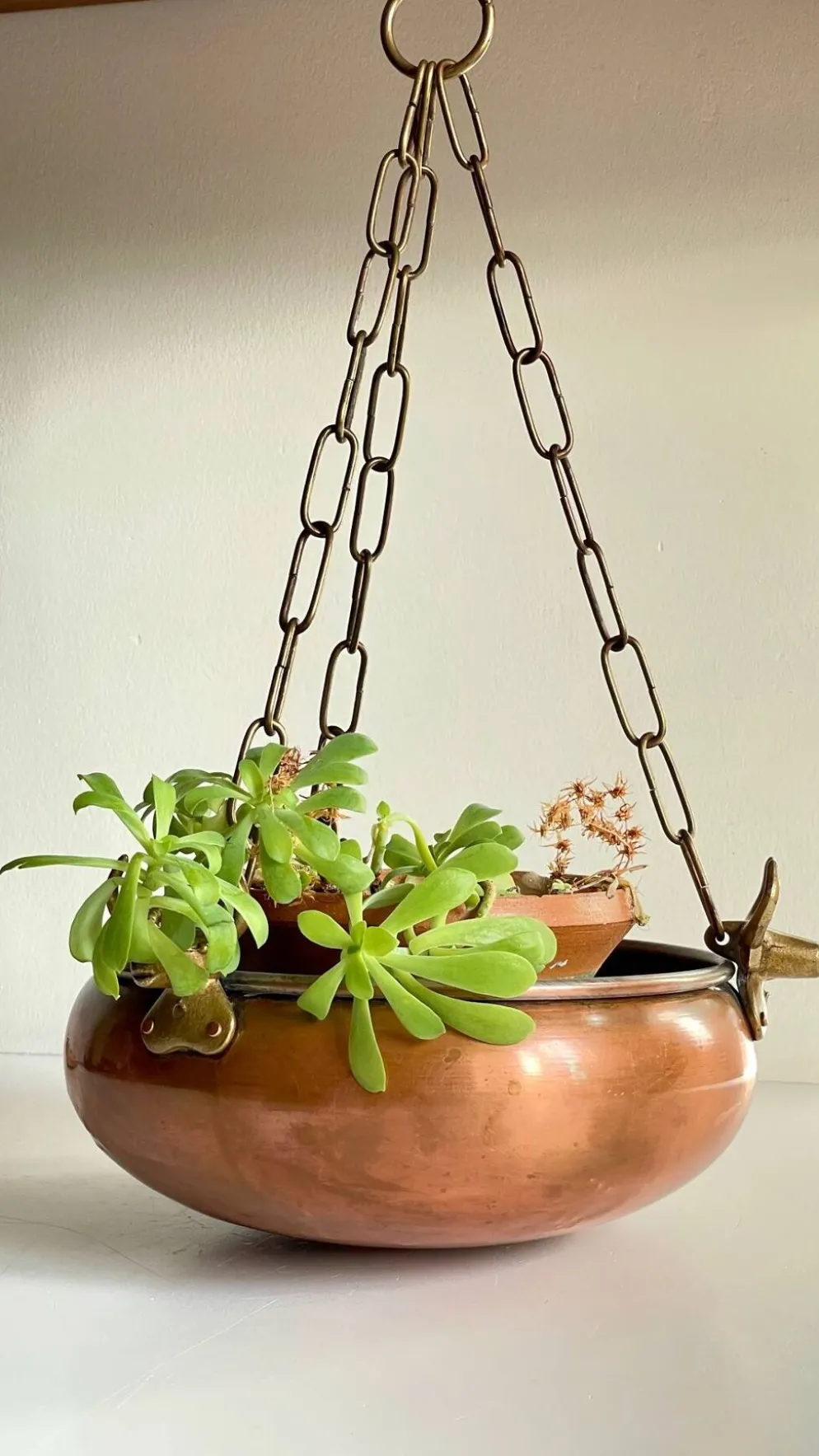 CACHE-POT Suspendu Vintage