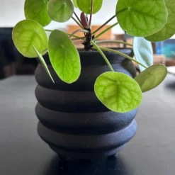 Cache pot tripode scandinave