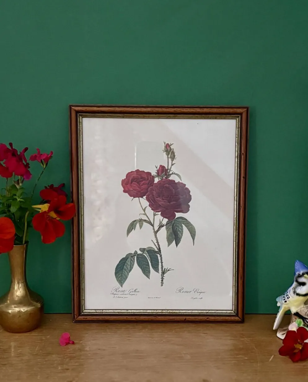 Cadre ancien rose rouge Redouté