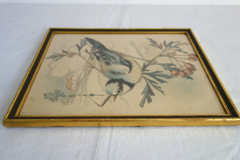 3 cadres oiseaux lithographies anciennes