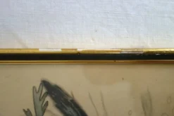 3 cadres oiseaux lithographies anciennes