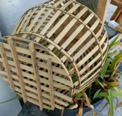 cage a oiseau