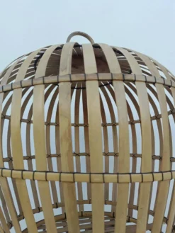 cage a oiseau