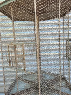 Cage a oiseaux sur table