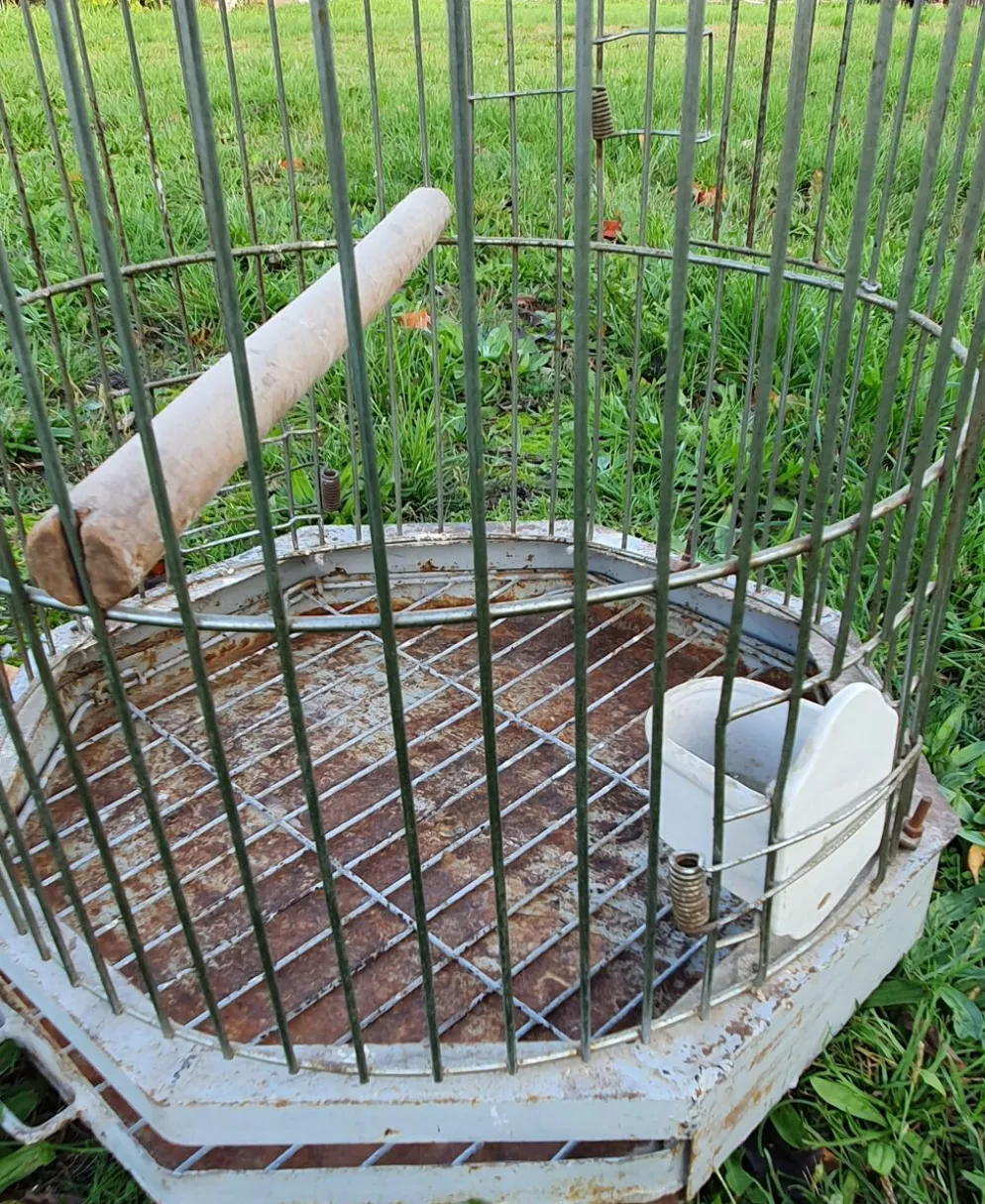 Cage a perroquet ancienne en fer