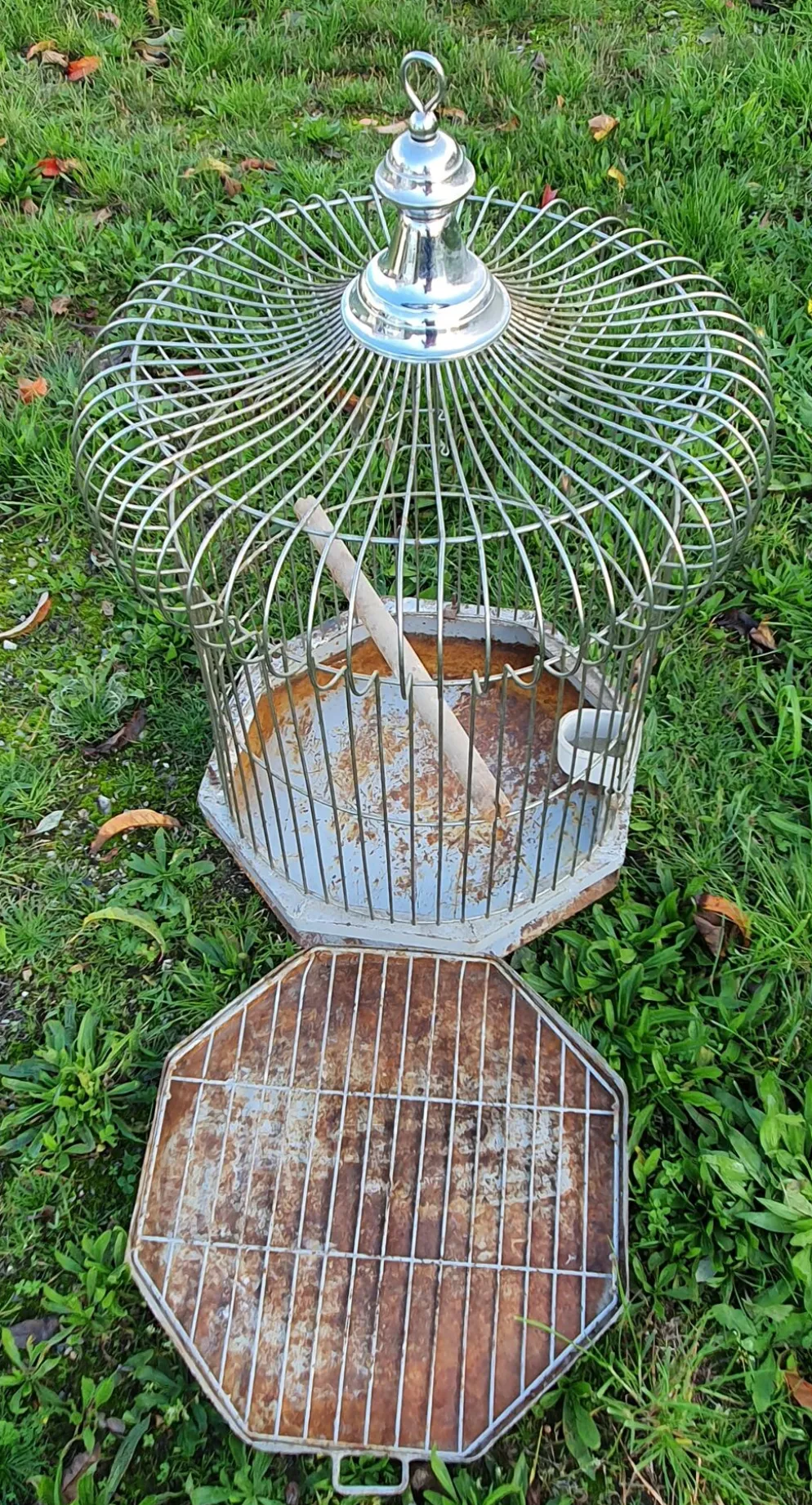 Cage a perroquet ancienne en fer
