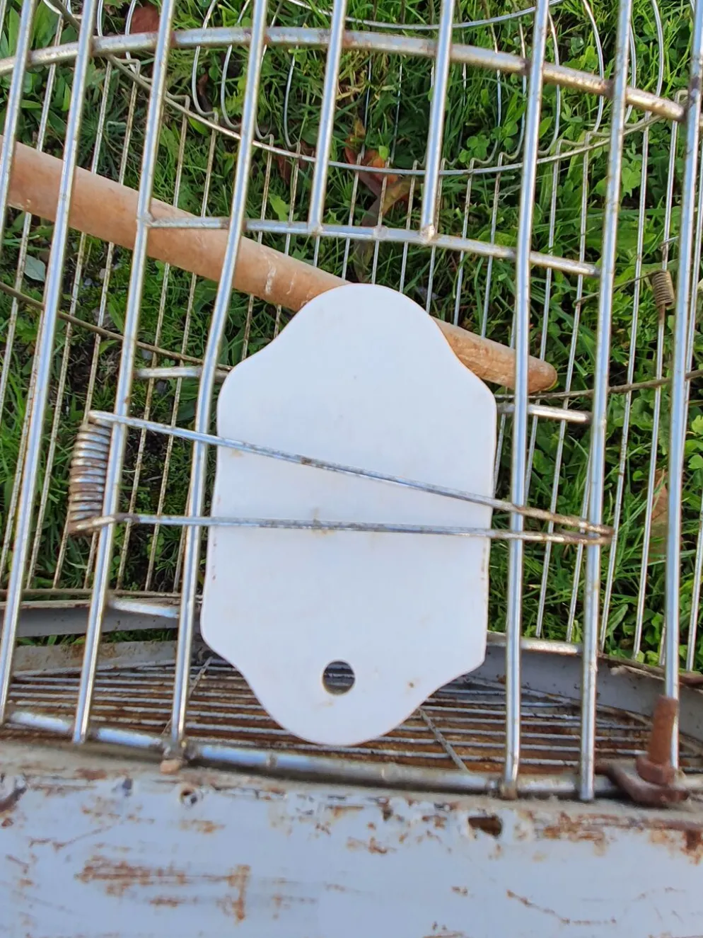 Cage a perroquet ancienne en fer