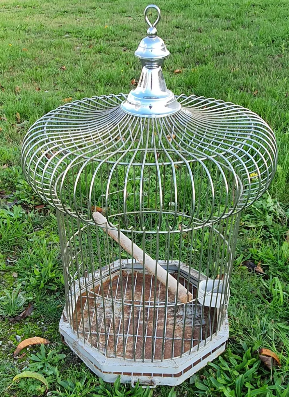 Cage a perroquet ancienne en fer