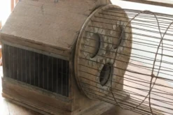 Cage à écureuil, 19ème siècle, bois et métal