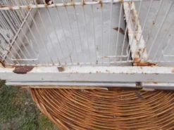 Cage d'oiseaux