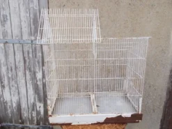 Cage d'oiseaux
