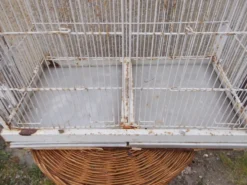 Cage d'oiseaux