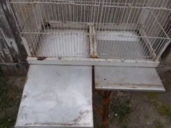 Cage d'oiseaux