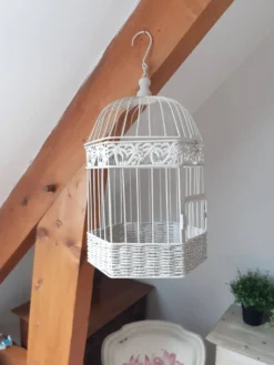 Cage en métal, patinée taupe ,volière