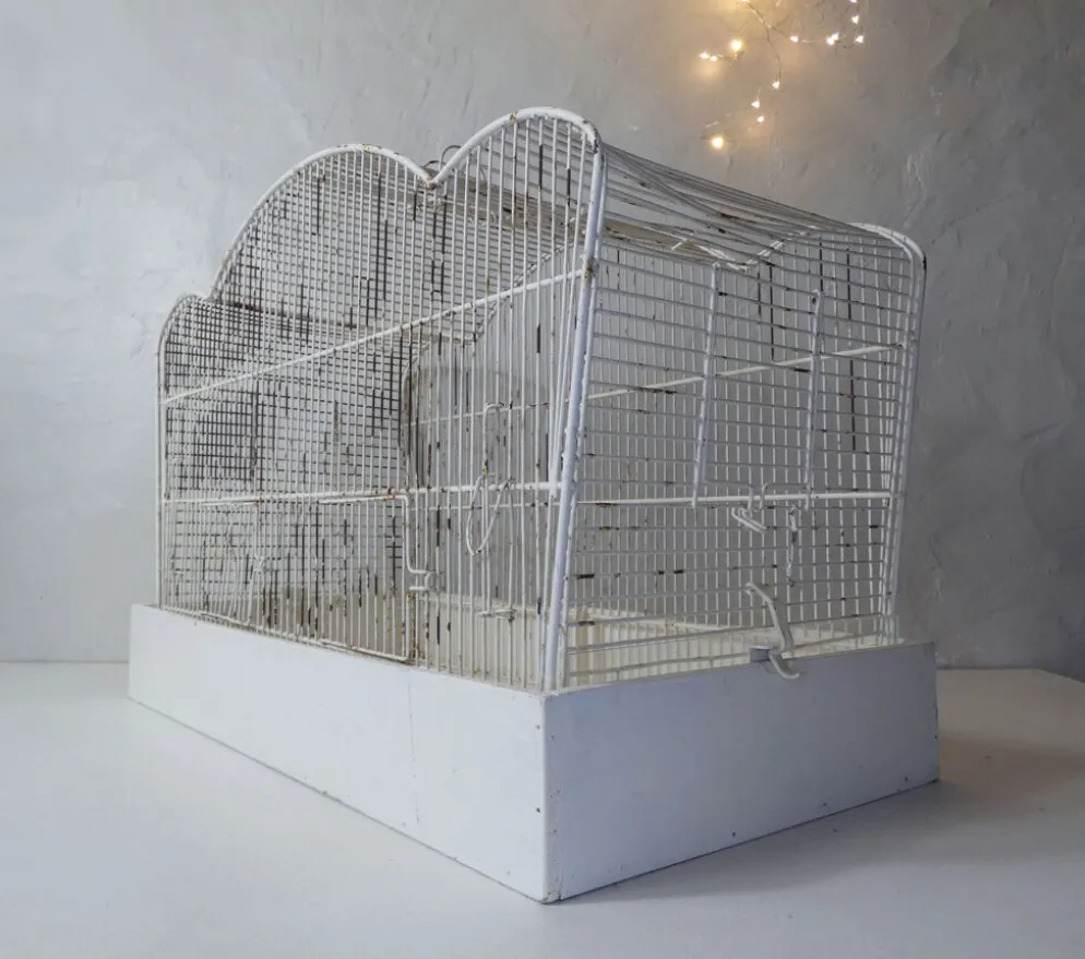 cage à oiseau vintage
