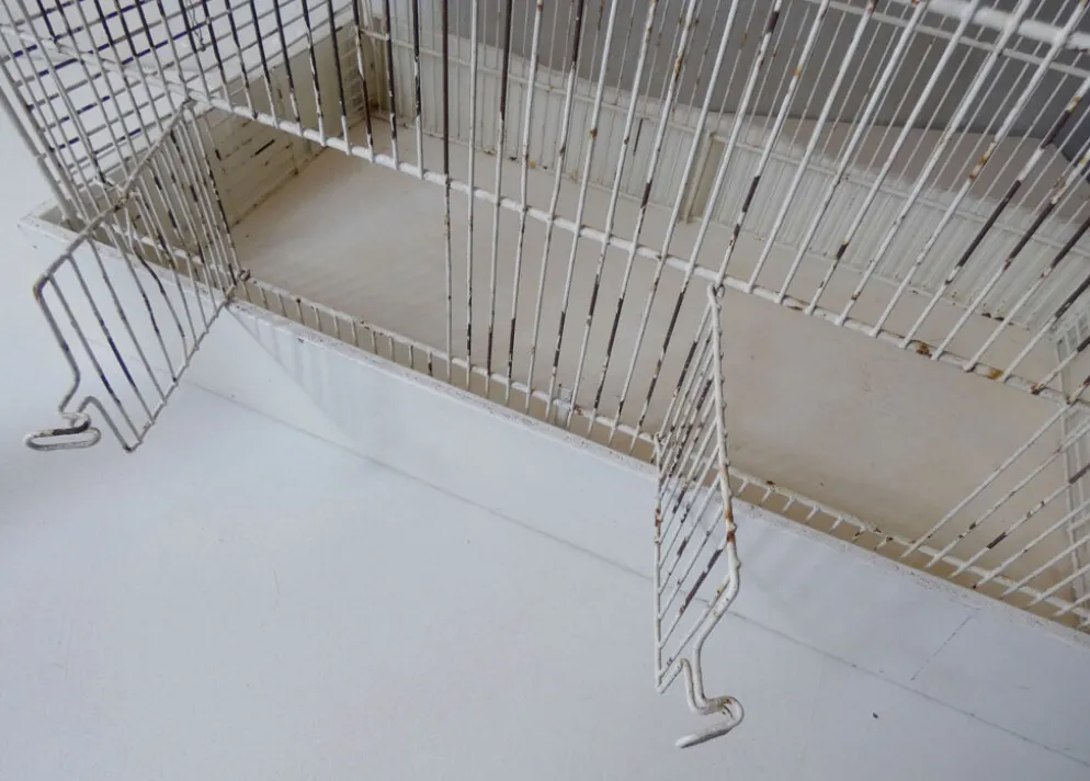 cage à oiseau vintage