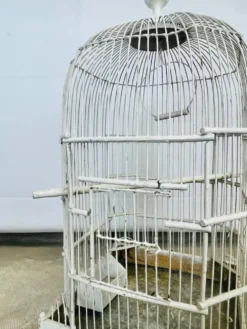 Cage à oiseaux