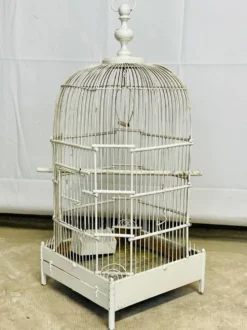 Cage à oiseaux