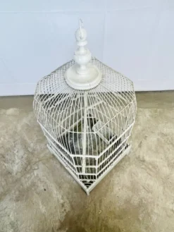 Cage à oiseaux