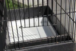 Cage à oiseaux