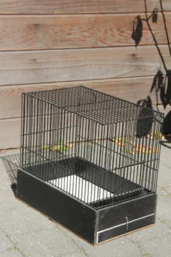 Cage à oiseaux