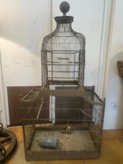 Cage à oiseaux 1900