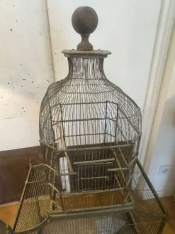 Cage à oiseaux 1900