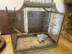 Cage à oiseaux 1900