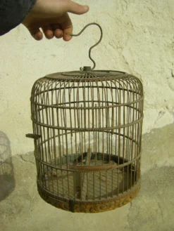 Cage à oiseaux ancienne