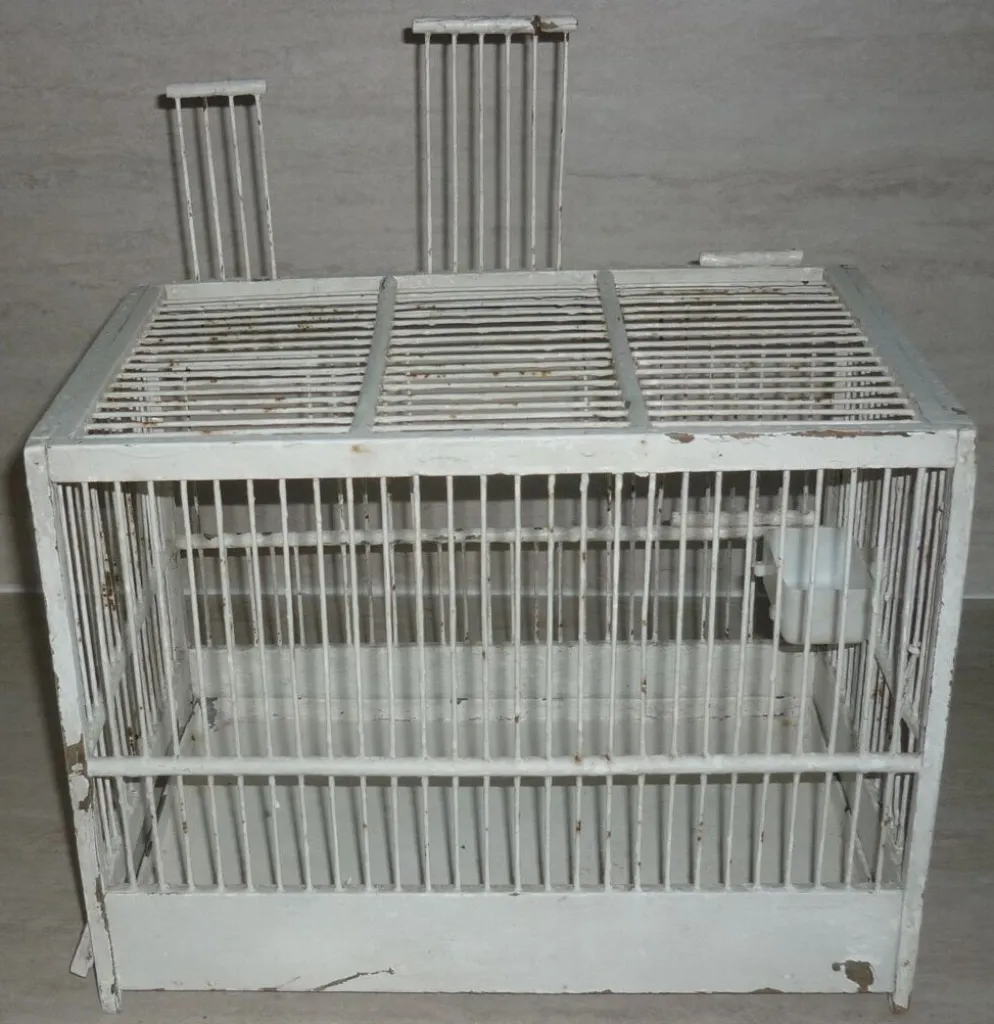 Cage à oiseaux blanche ancienne