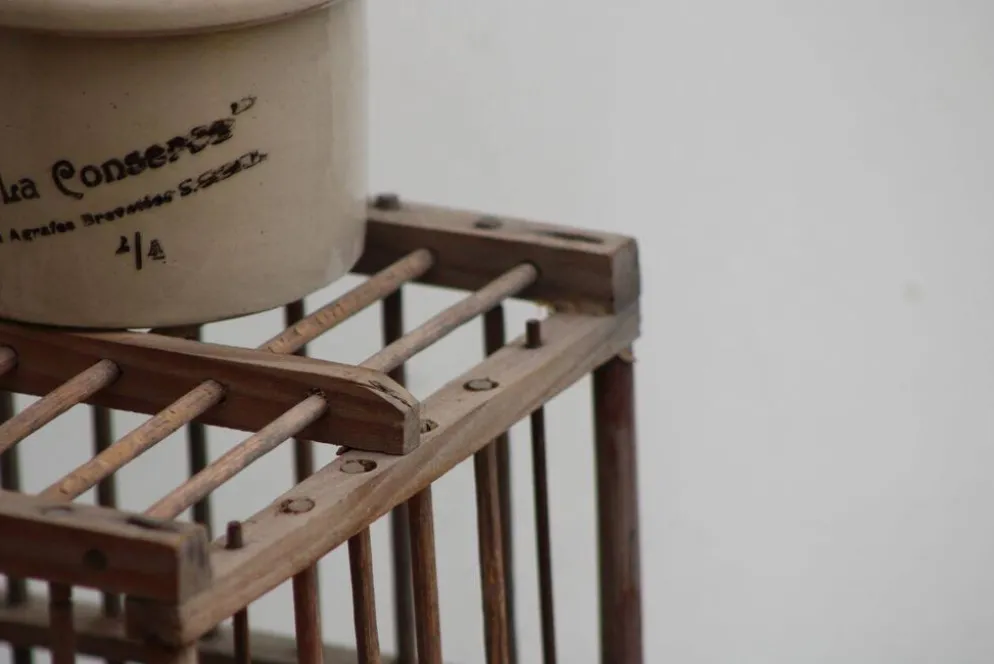 Cage à oiseaux en bois
