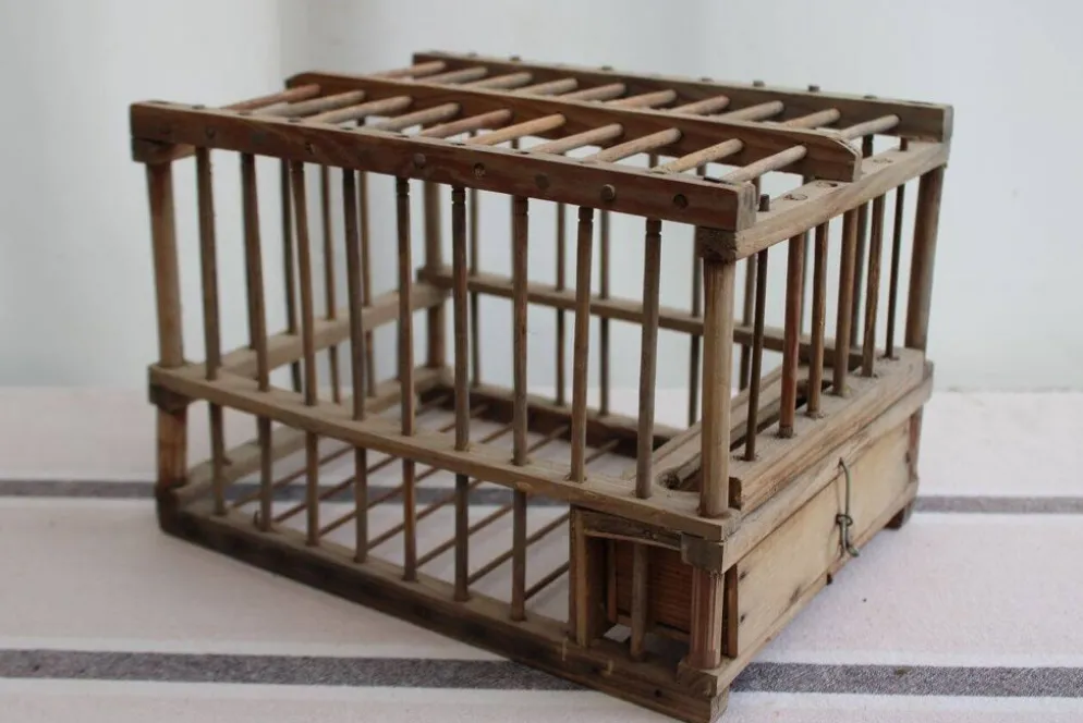 Cage à oiseaux en bois
