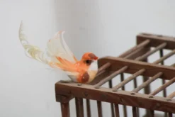 Cage à oiseaux en bois