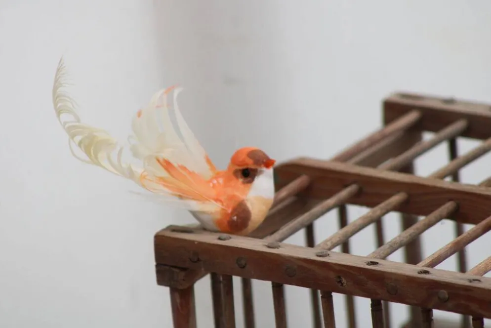Cage à oiseaux en bois