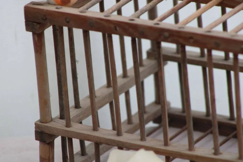 Cage à oiseaux en bois