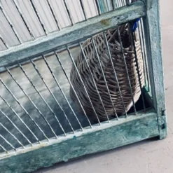 Cage à oiseaux en métal patiné vert