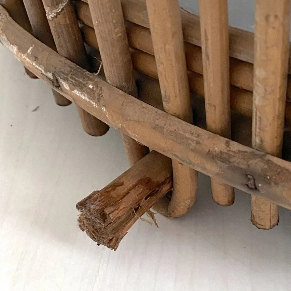 Cage à oiseaux en rotin, 1960