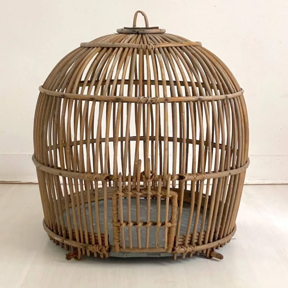 Cage à oiseaux en rotin, 1960